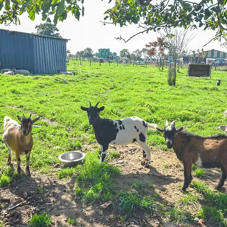 Maison Entre Terre Et